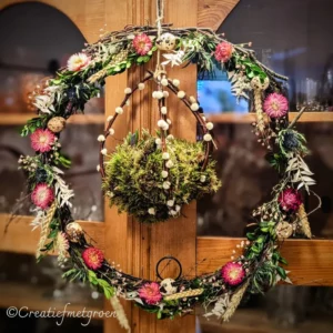 Ring of Spring (hangend)