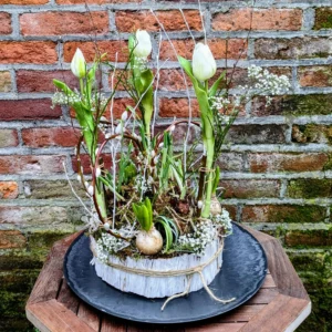 Tuintje op Tafel Roze - Met onderbord