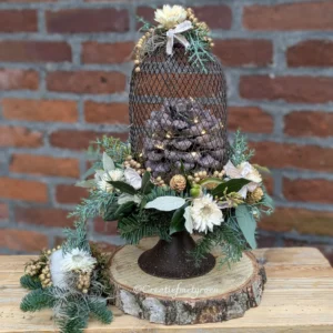 Winter Belle 🕯️