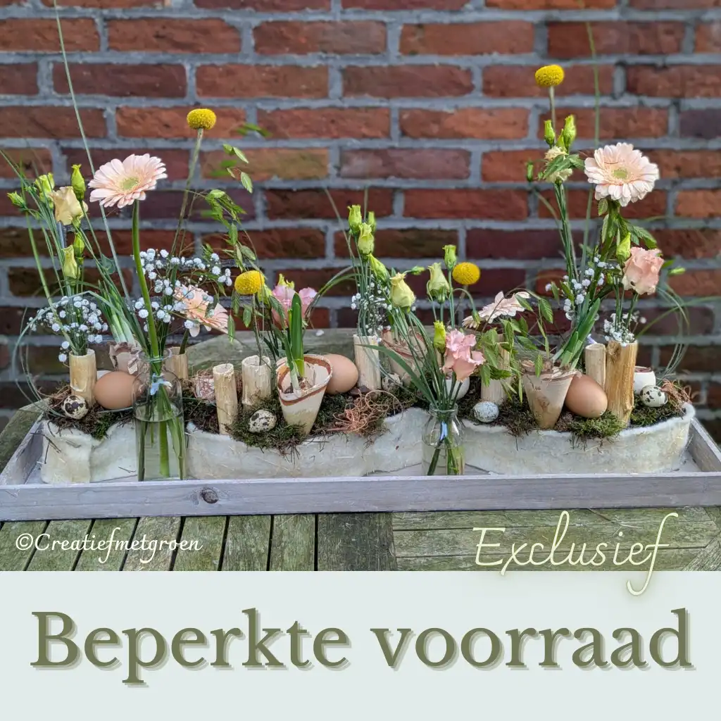 Licht Lucht Lente - Afbeelding 1