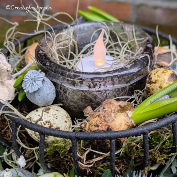 Lief Lente Lichtje