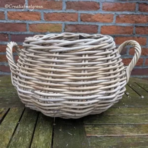 Rotan Mand