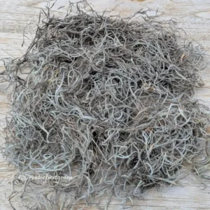 Tillandsia mos 50gr