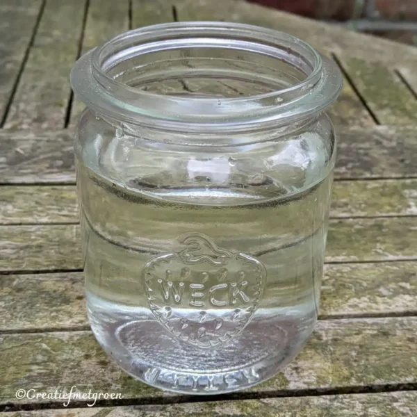 Vintage Weckpotje