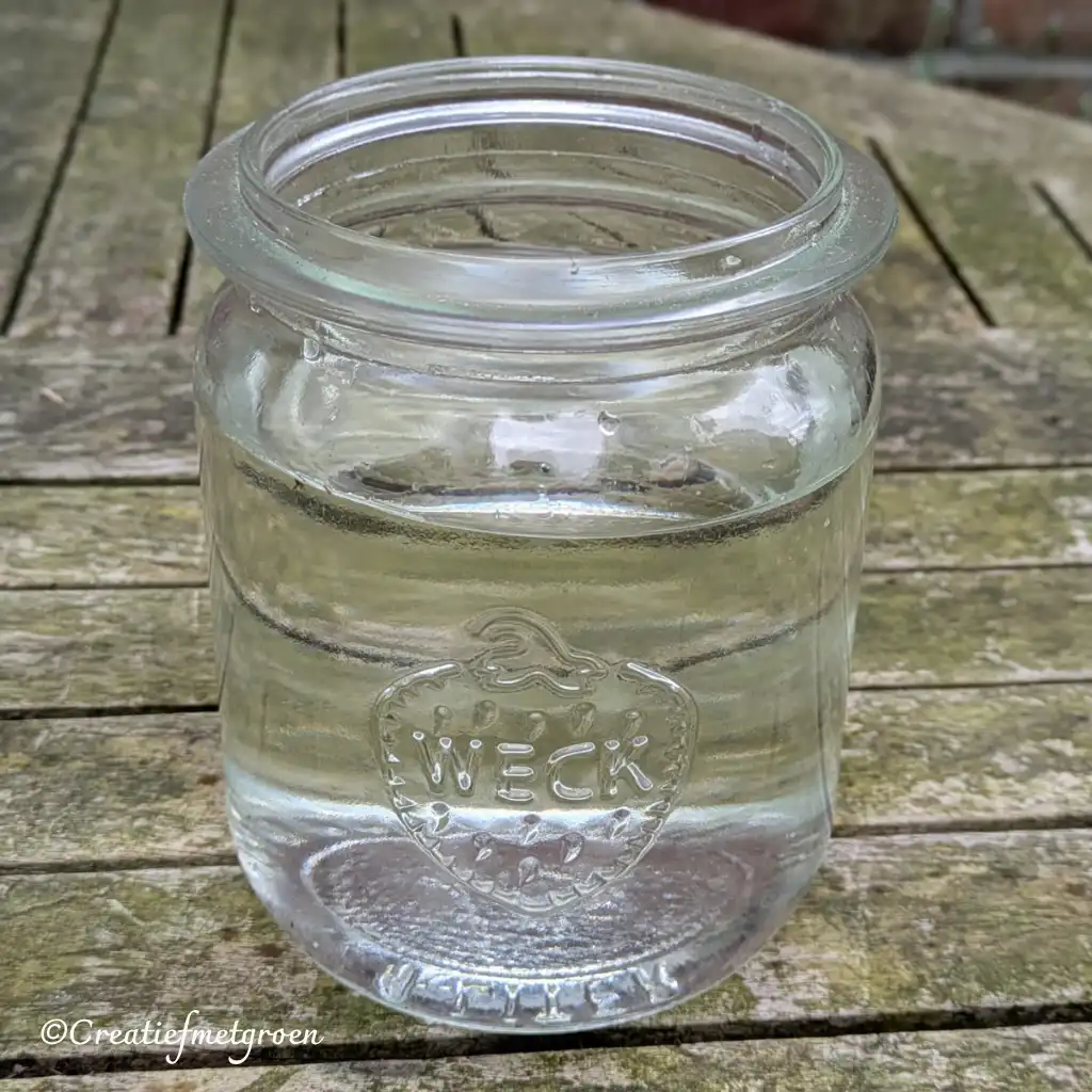 Vintage Weckpotje - Afbeelding 1