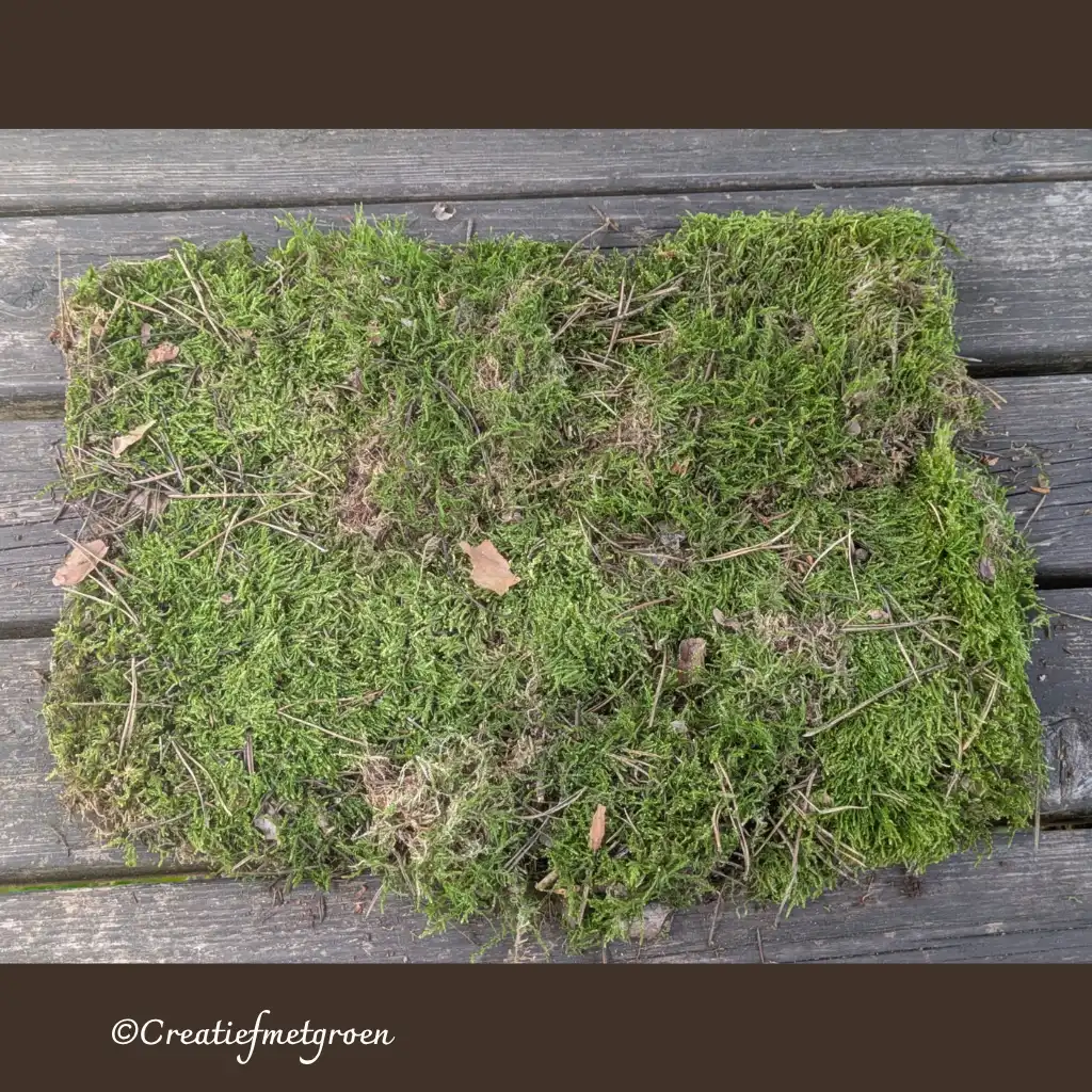 Decoratiemos - Afbeelding 1