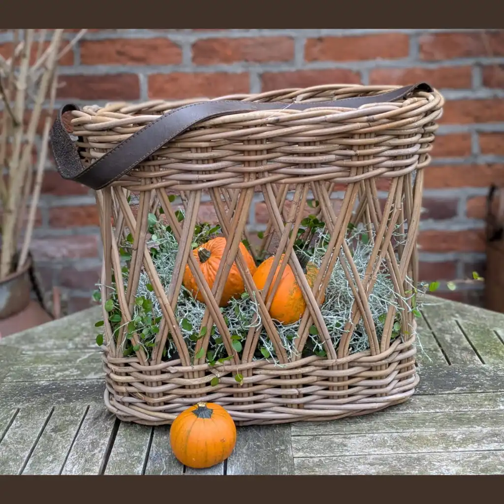 Stoere rotan mand met leren hengsels