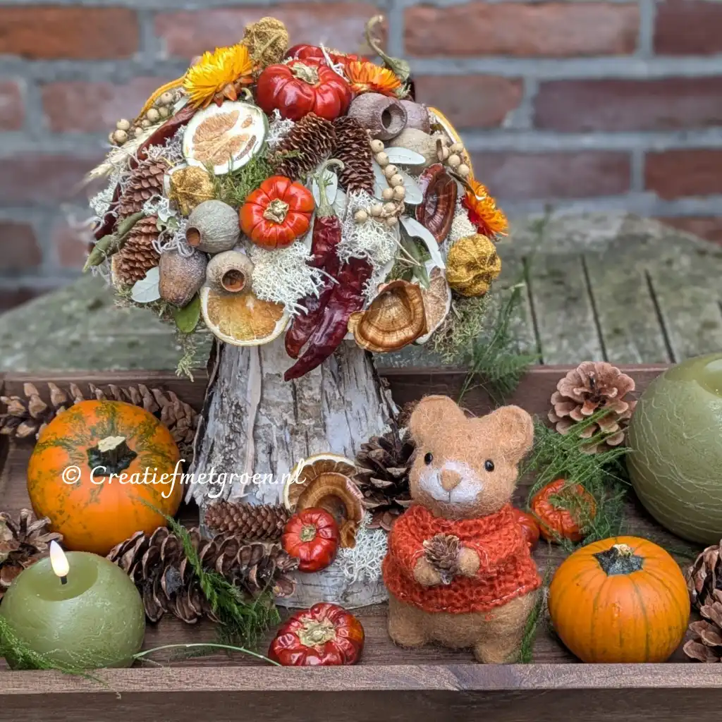 Herfst Paddenstoel Groot
