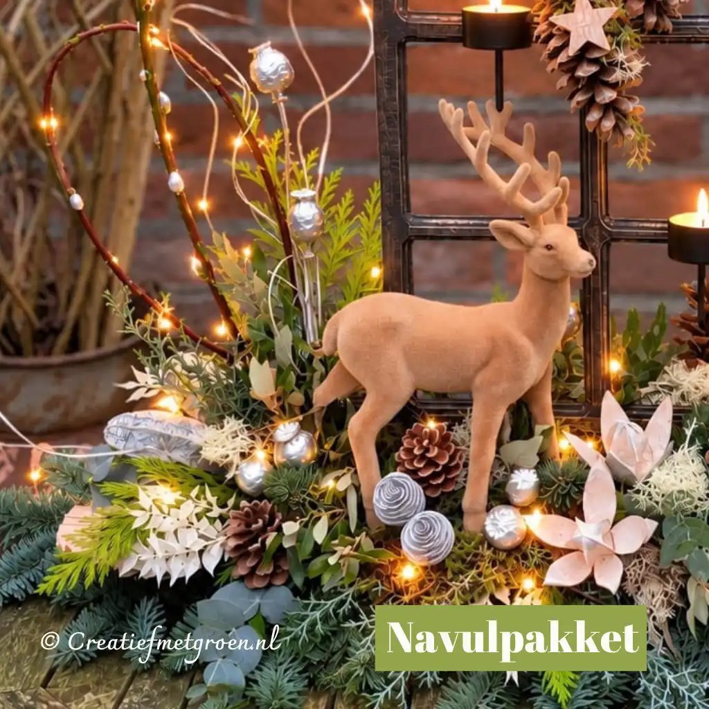 Fairytale Forest Navulpakket